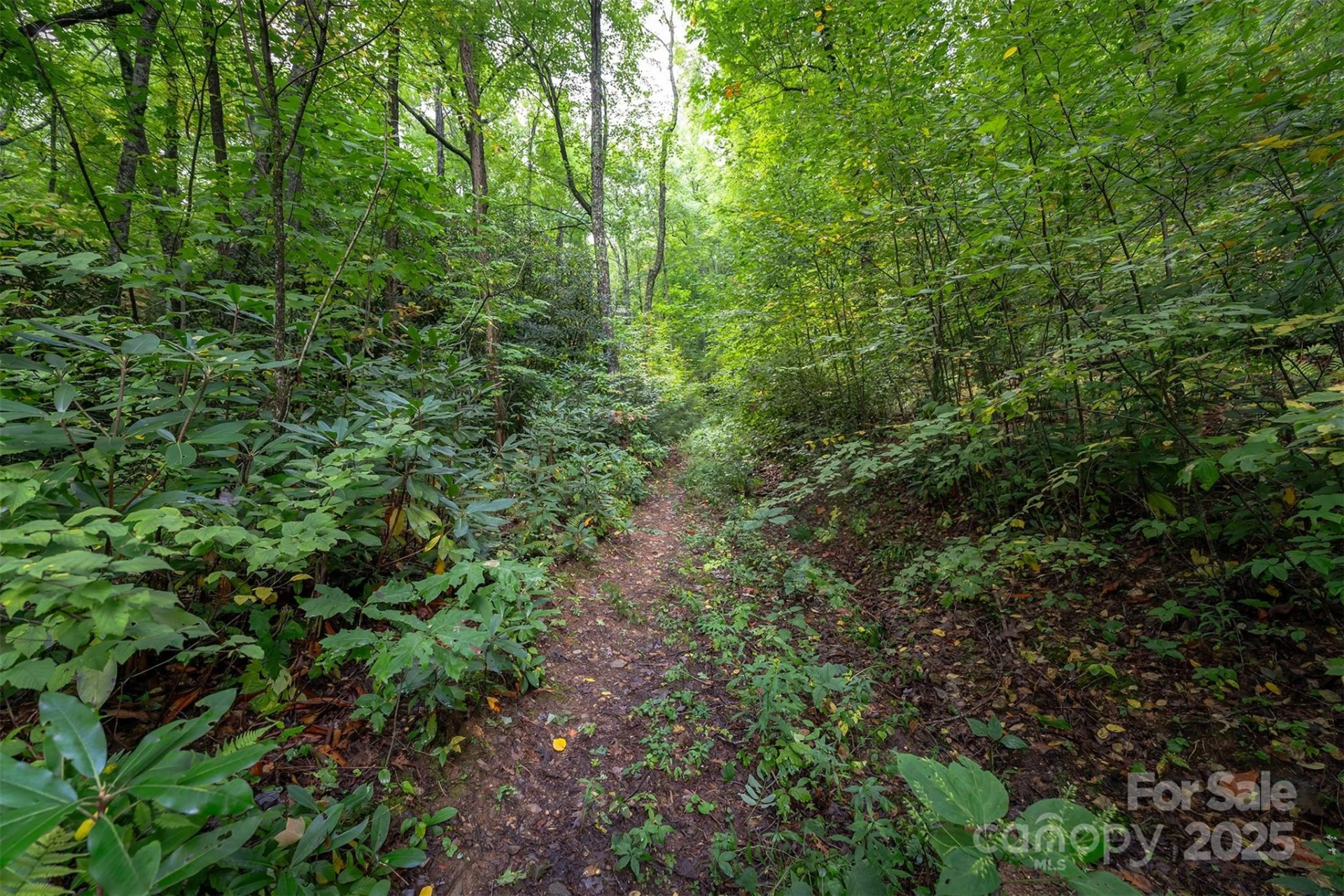 66 Sisters View Drive #159 - Photo 10