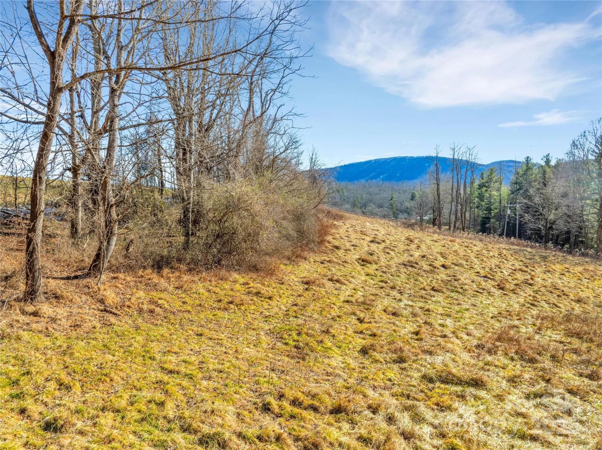 94 Ebenezer Trail #3