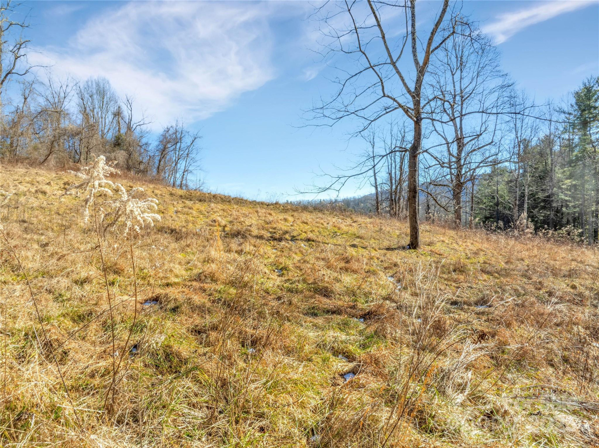 94 Ebenezer Trail #3 - Photo 7