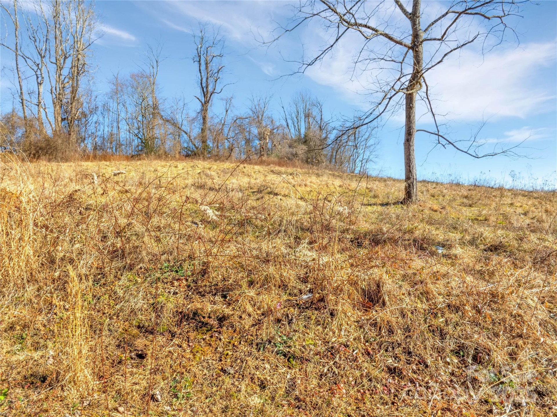 94 Ebenezer Trail #3 - Photo 8