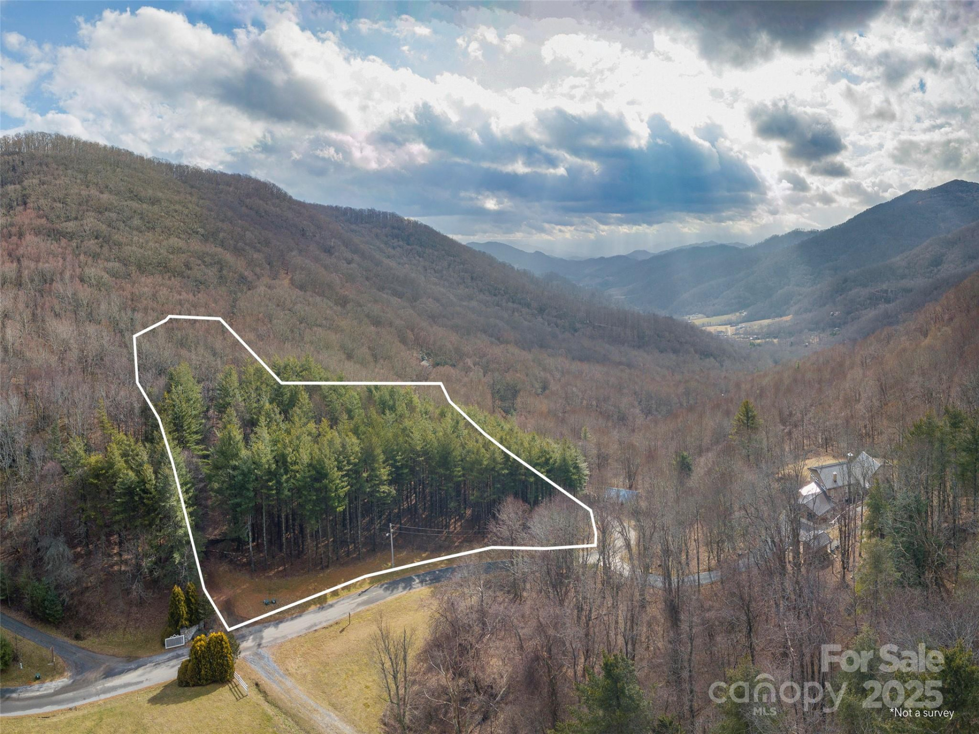 00 Bald Creek Road - Photo 11