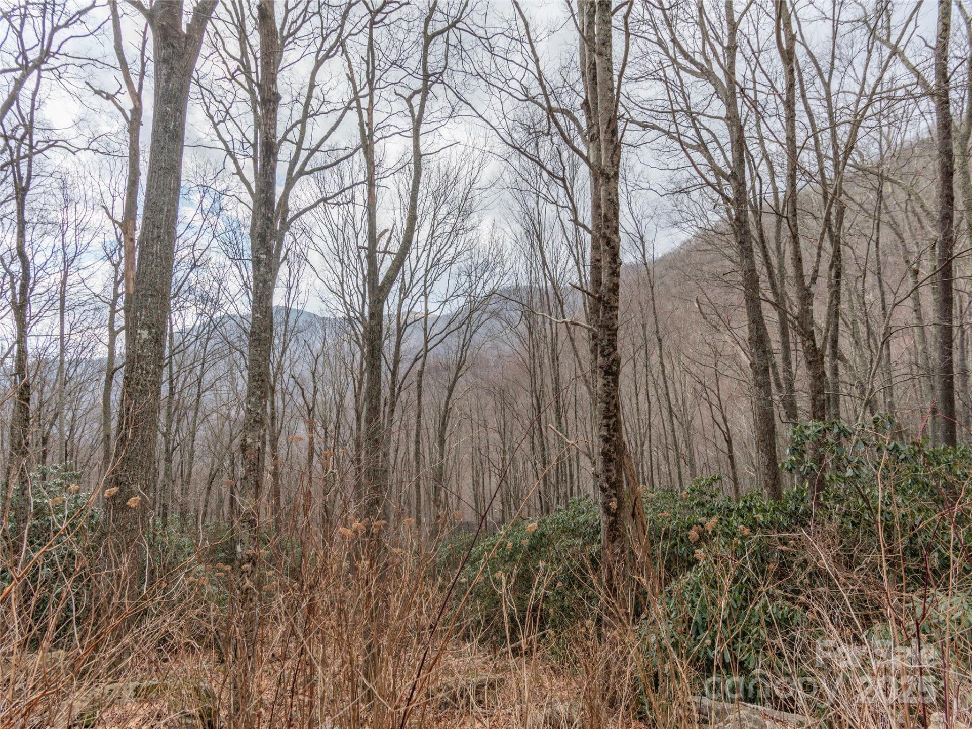 00 Bald Creek Road - Photo 3