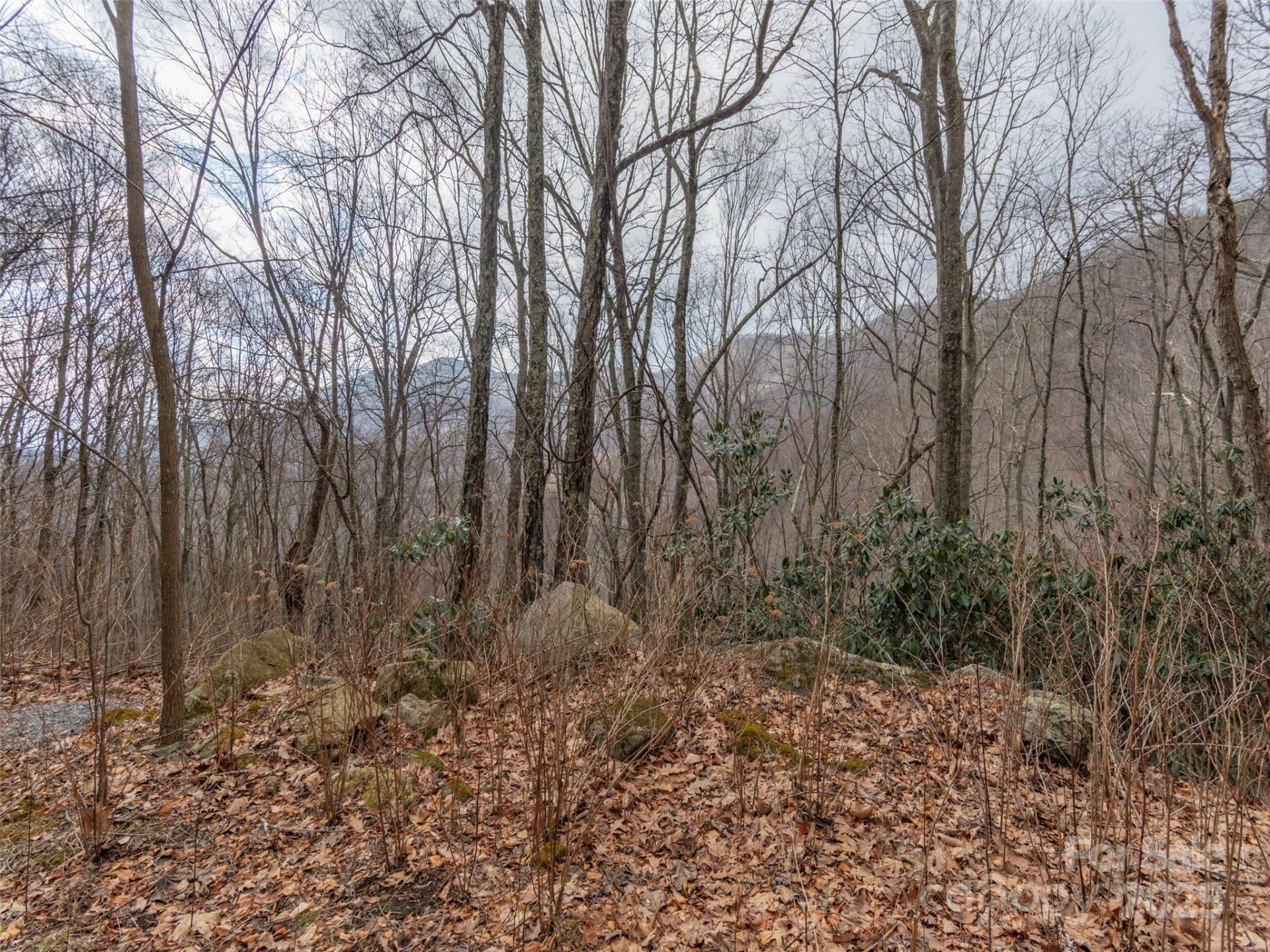 00 Bald Creek Road - Photo 4