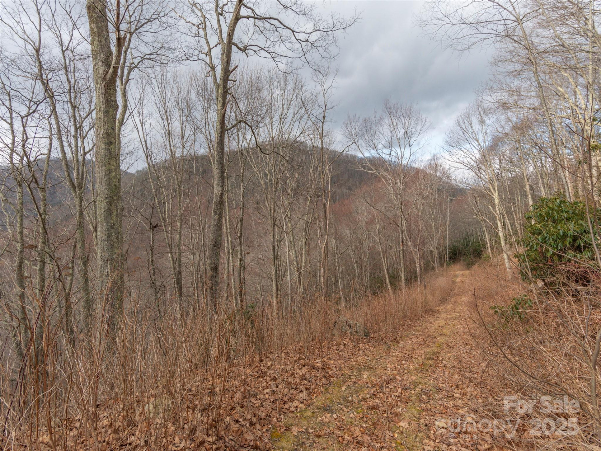 00 Bald Creek Road - Photo 5