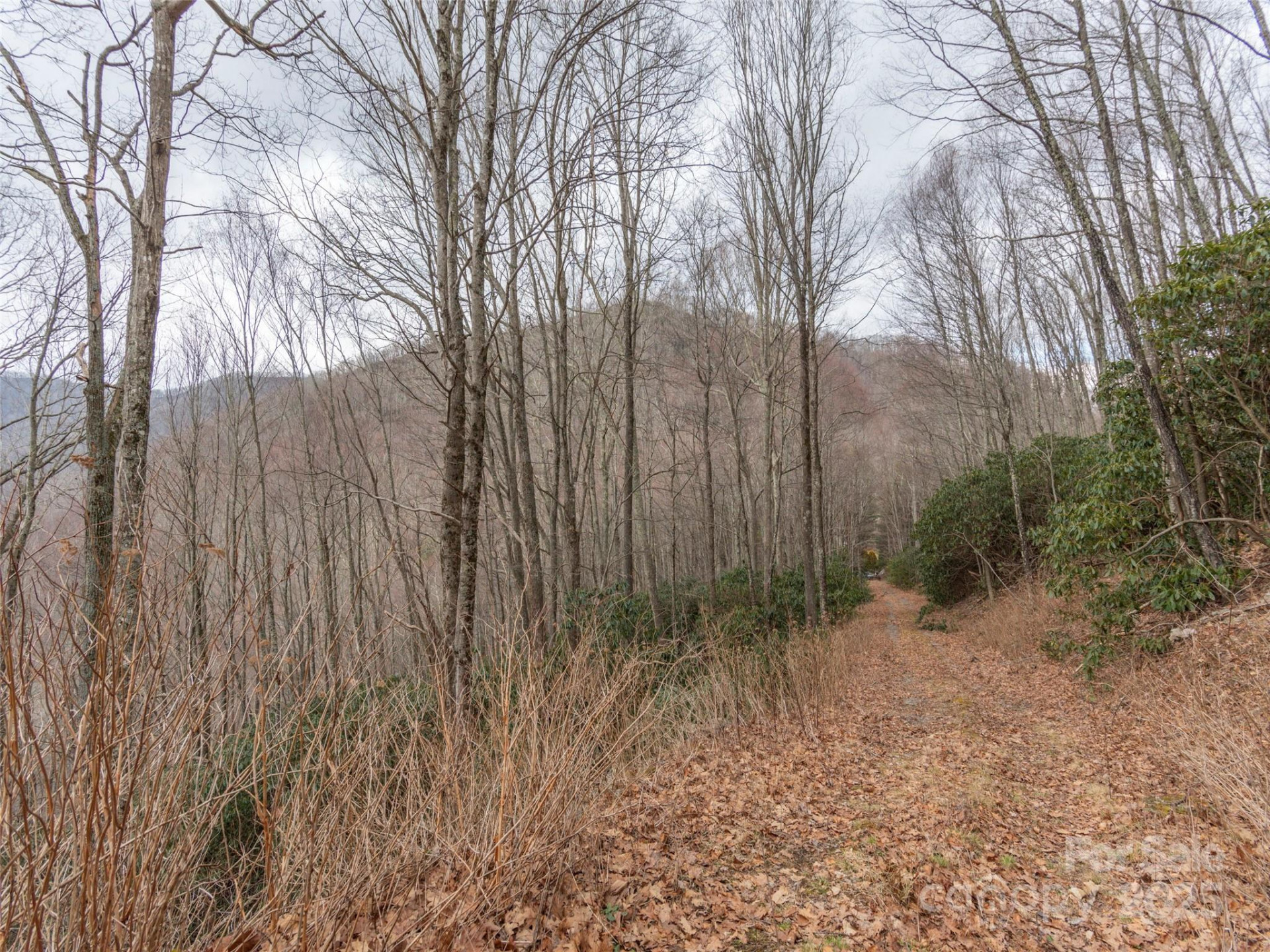 00 Bald Creek Road - Photo 6