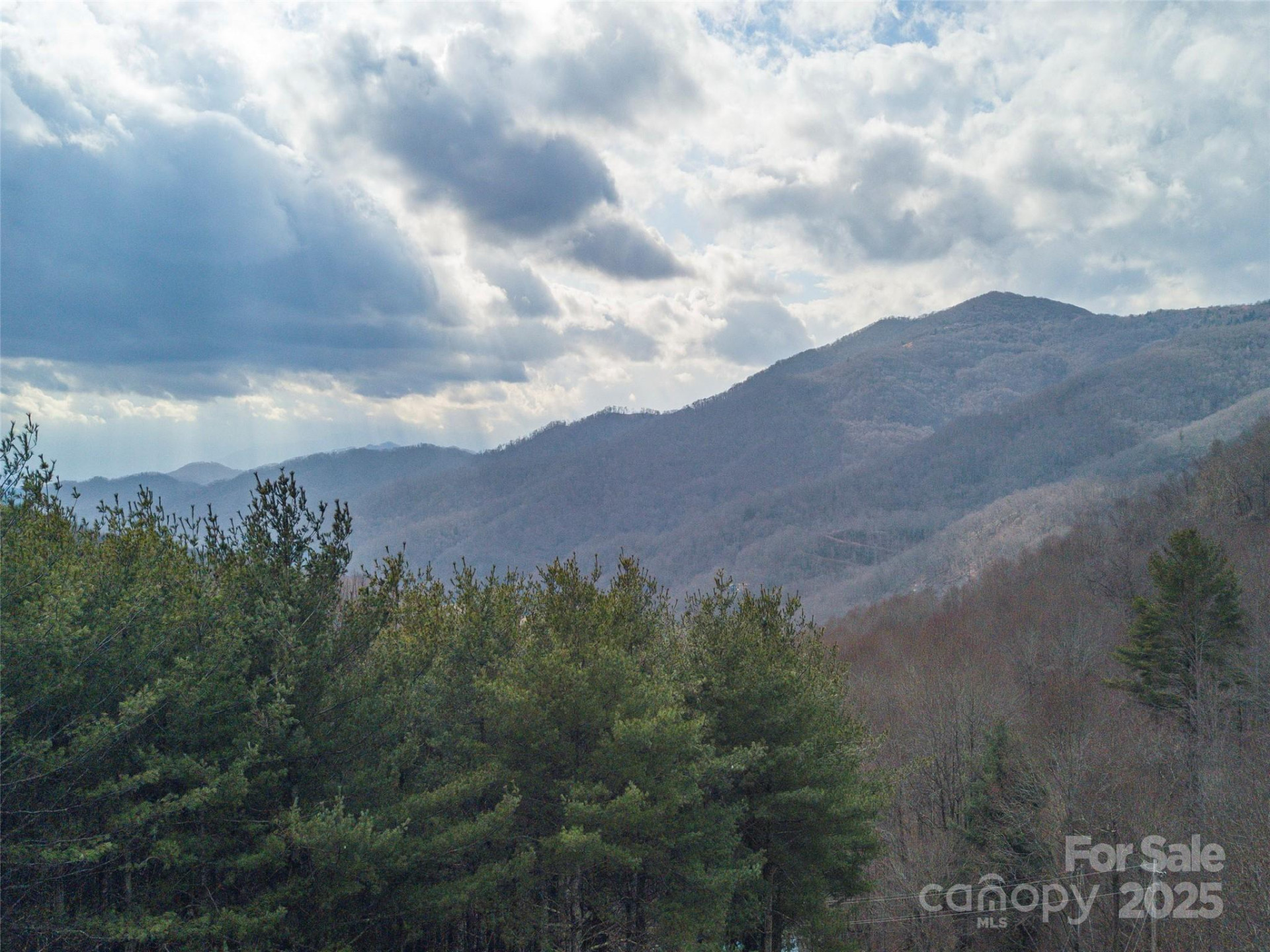 00 Bald Creek Road - Photo 9