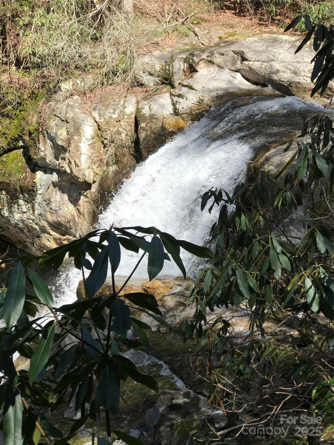 87 Stepp Ridge Court - Photo 2