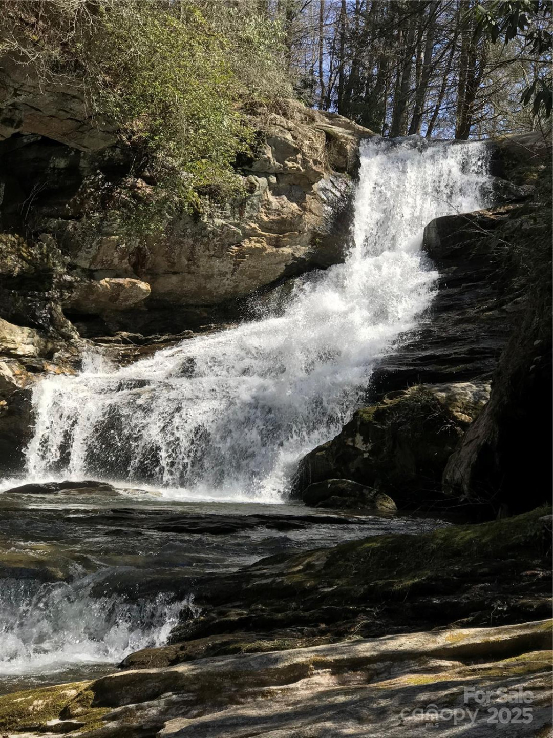 87 Stepp Ridge Court - Photo 3