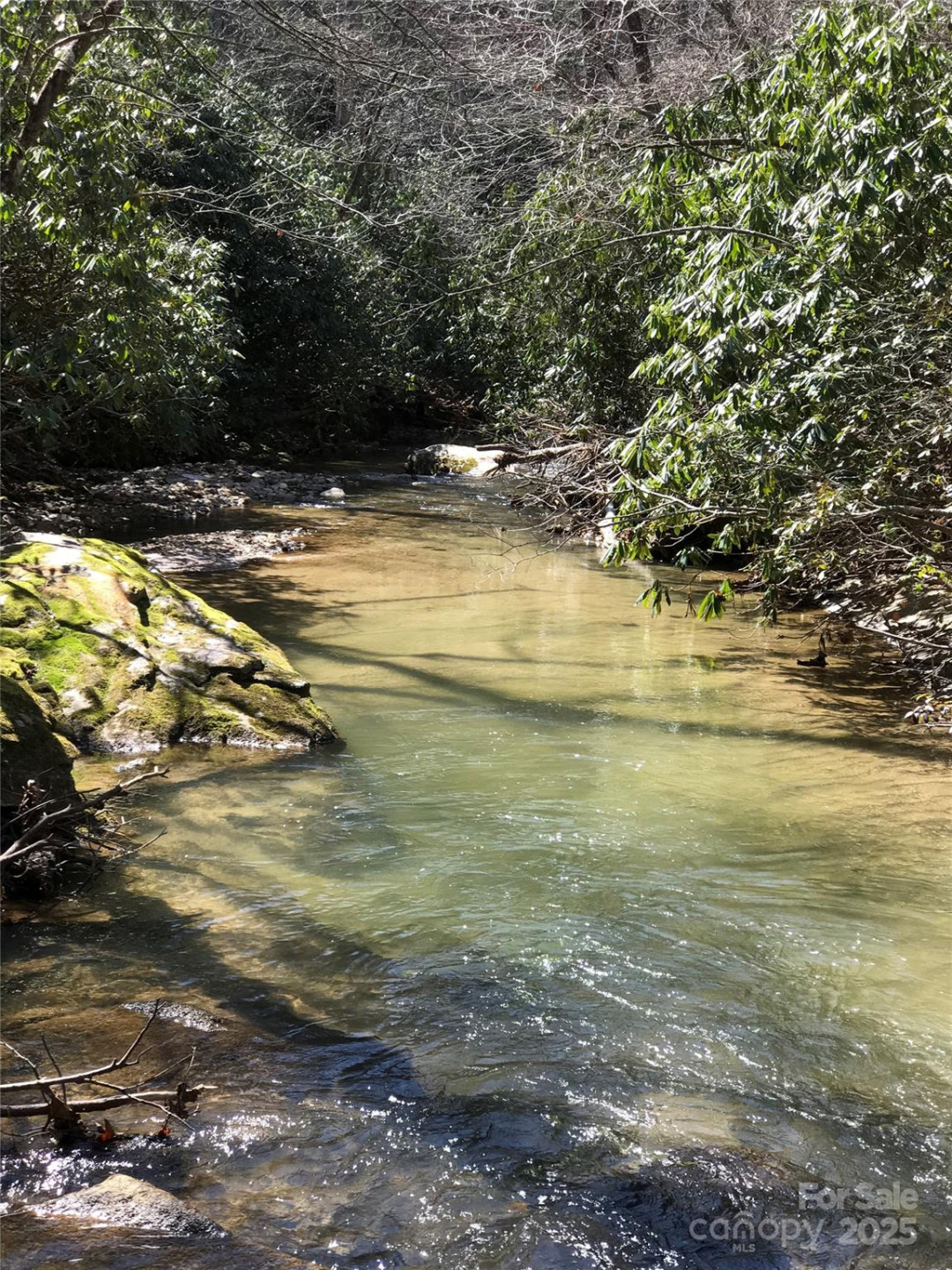 87 Stepp Ridge Court - Photo 5