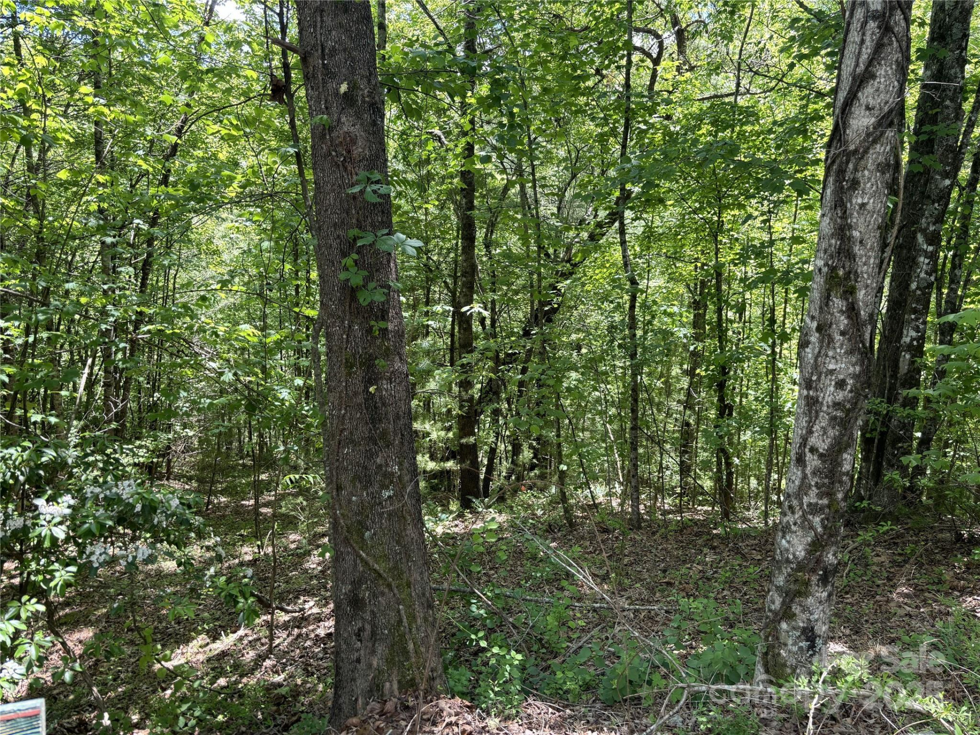 87 Stepp Ridge Court - Photo 6