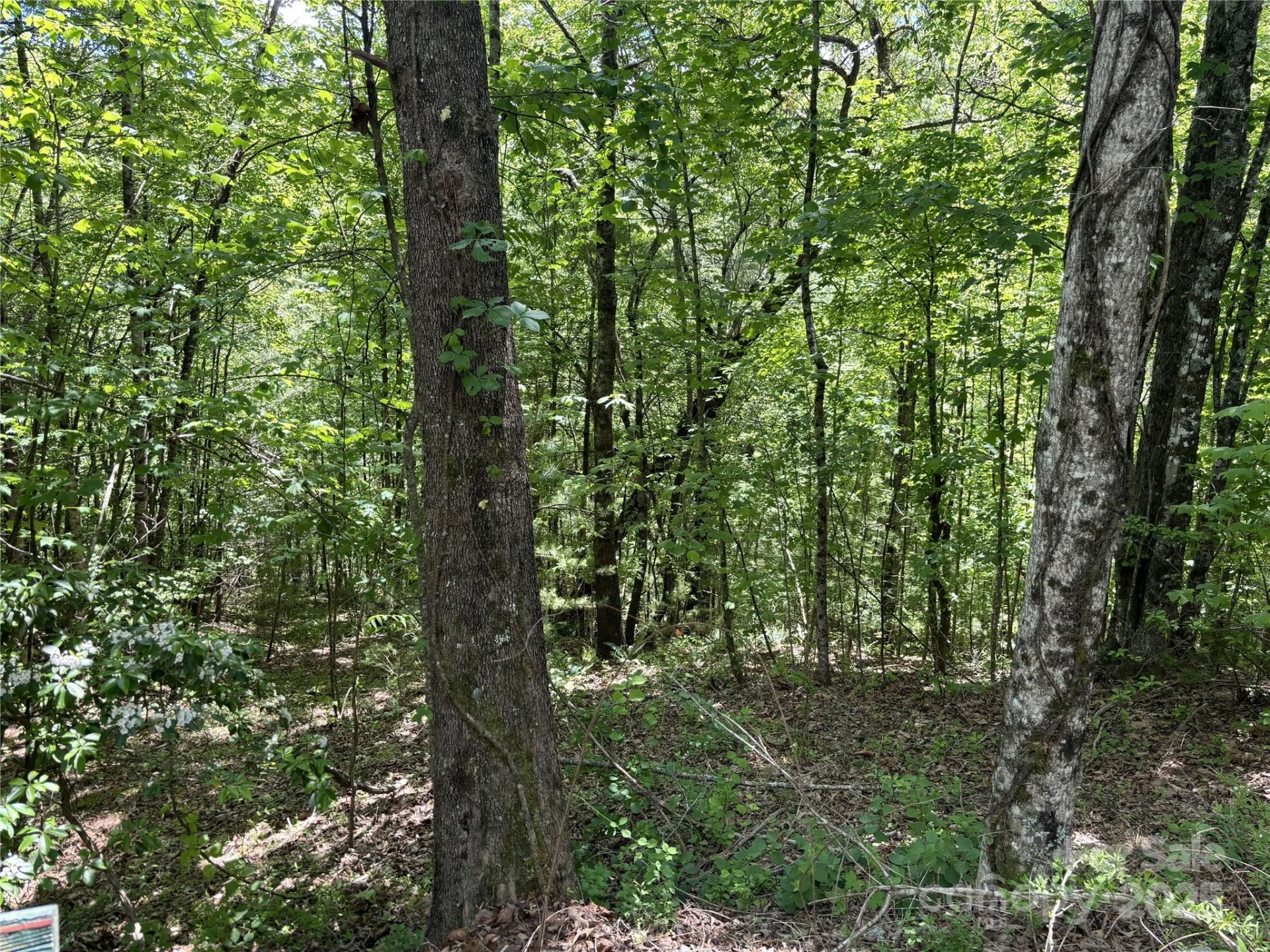 87 Stepp Ridge Court - Photo 6