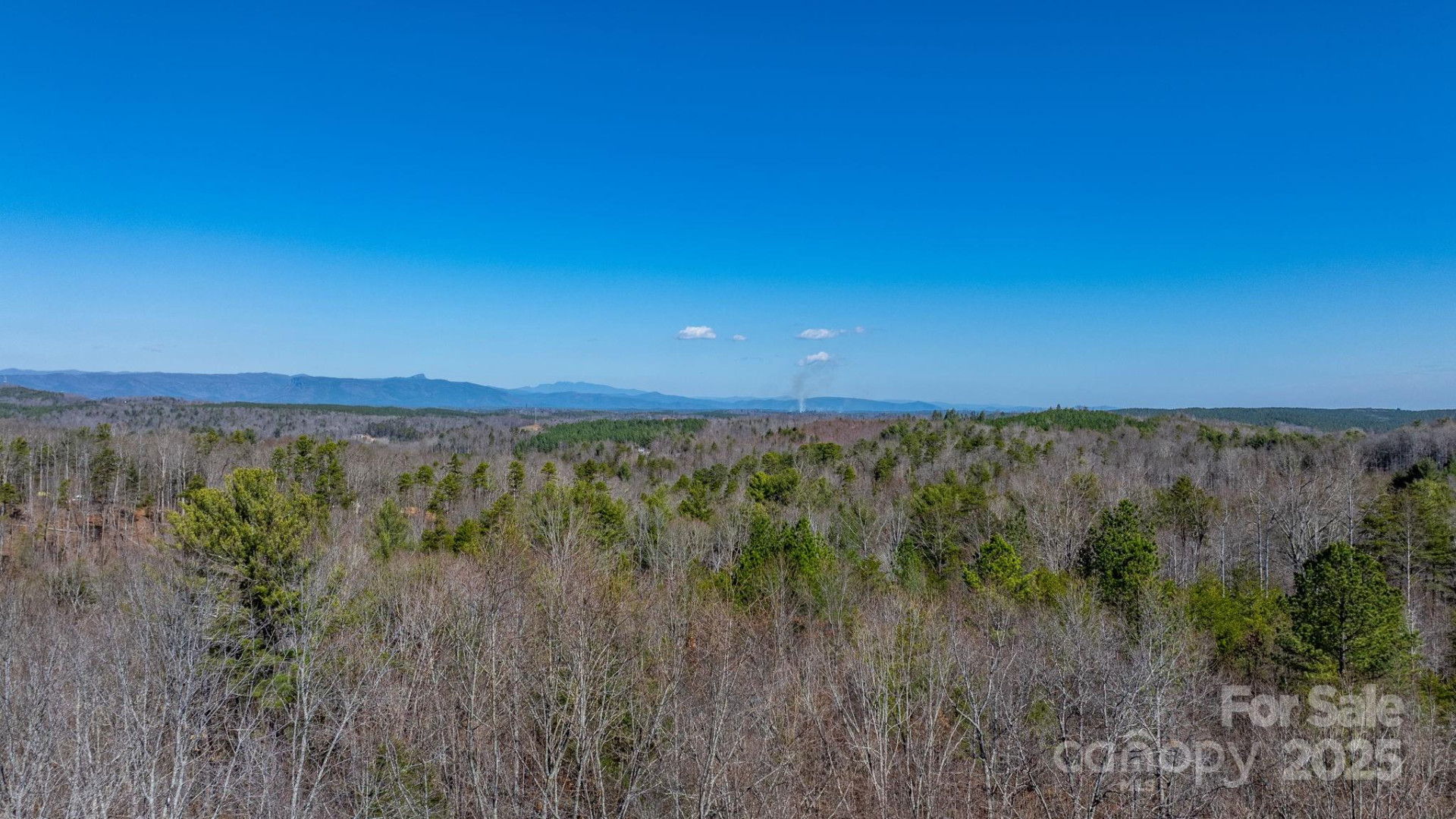 TBD Dirksen Avenue #60 - Photo 2