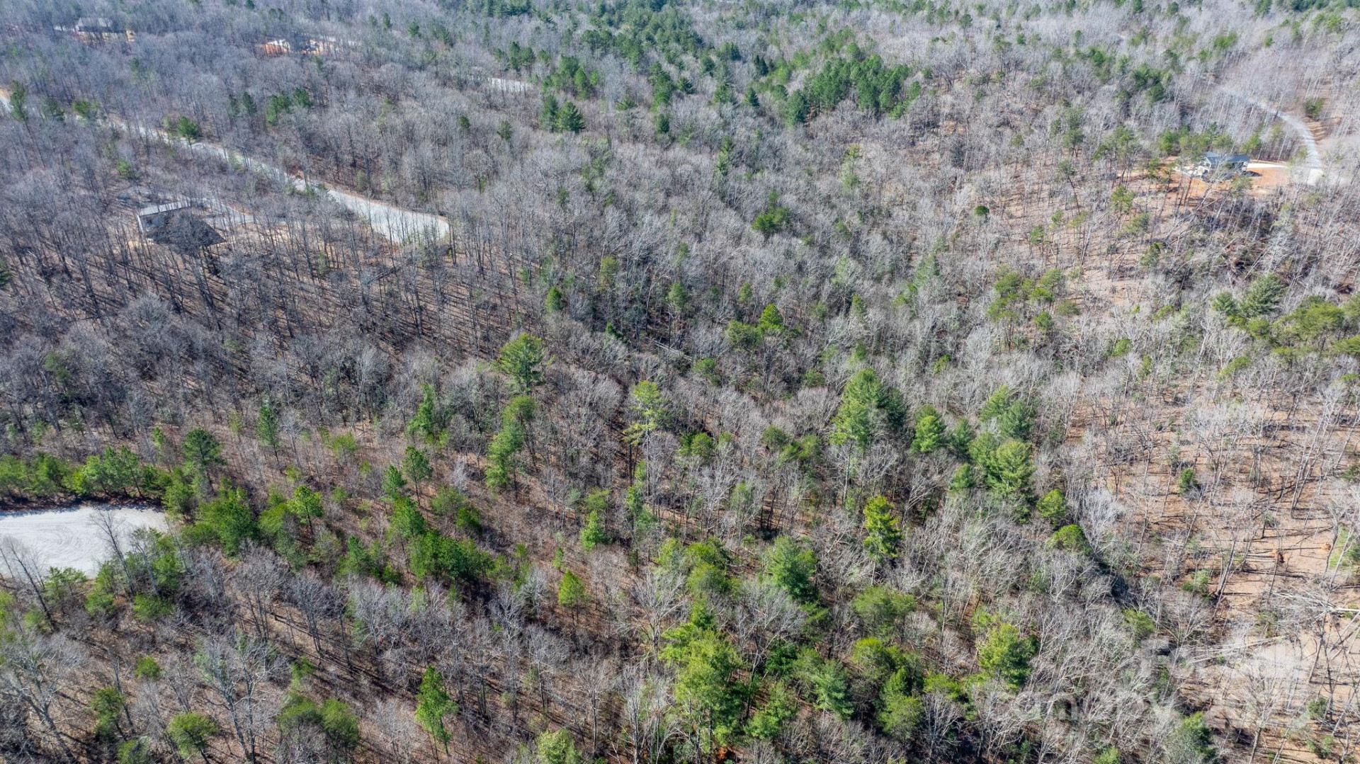 TBD Dirksen Avenue #60 - Photo 12