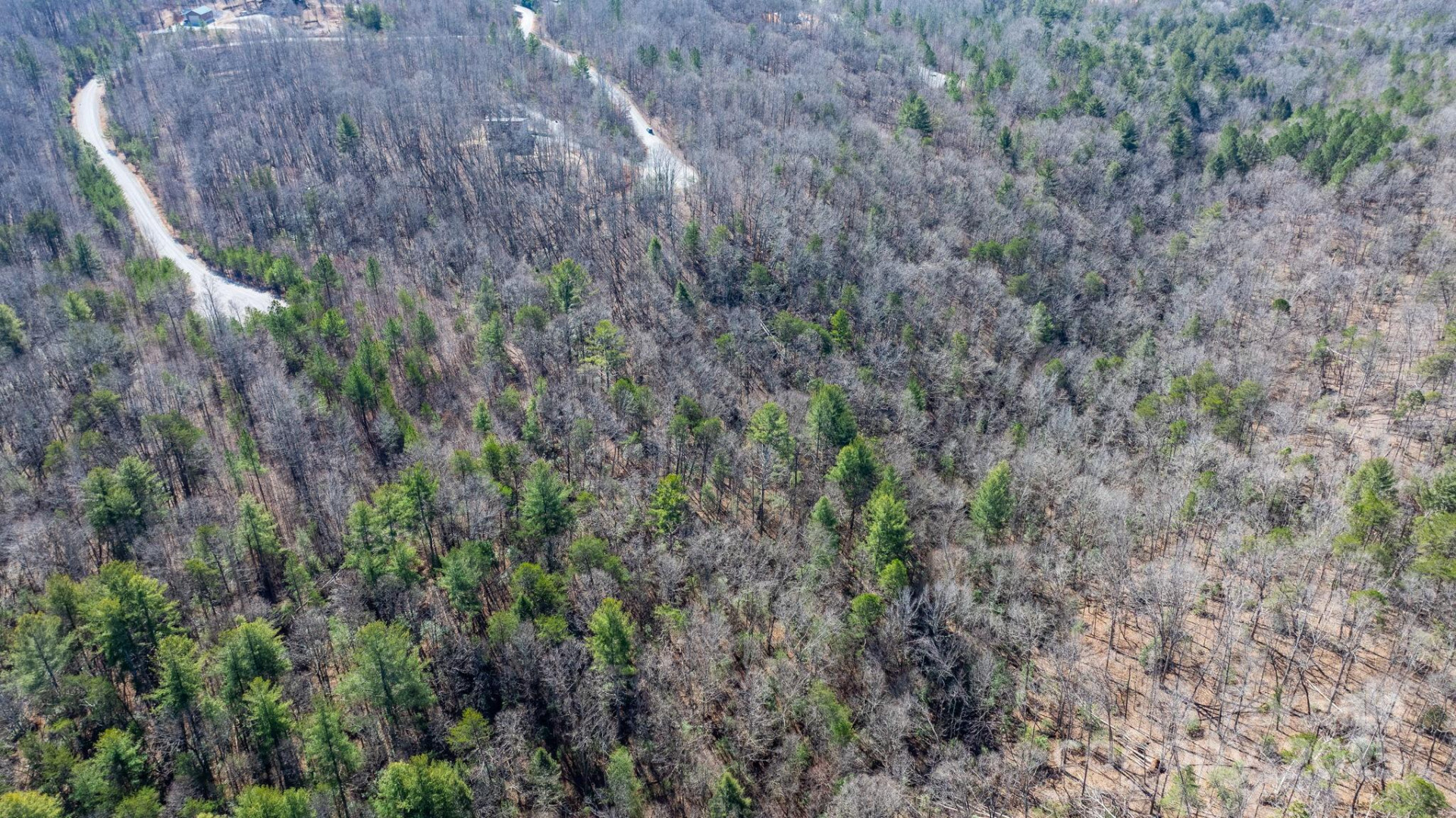 TBD Dirksen Avenue #60 - Photo 15