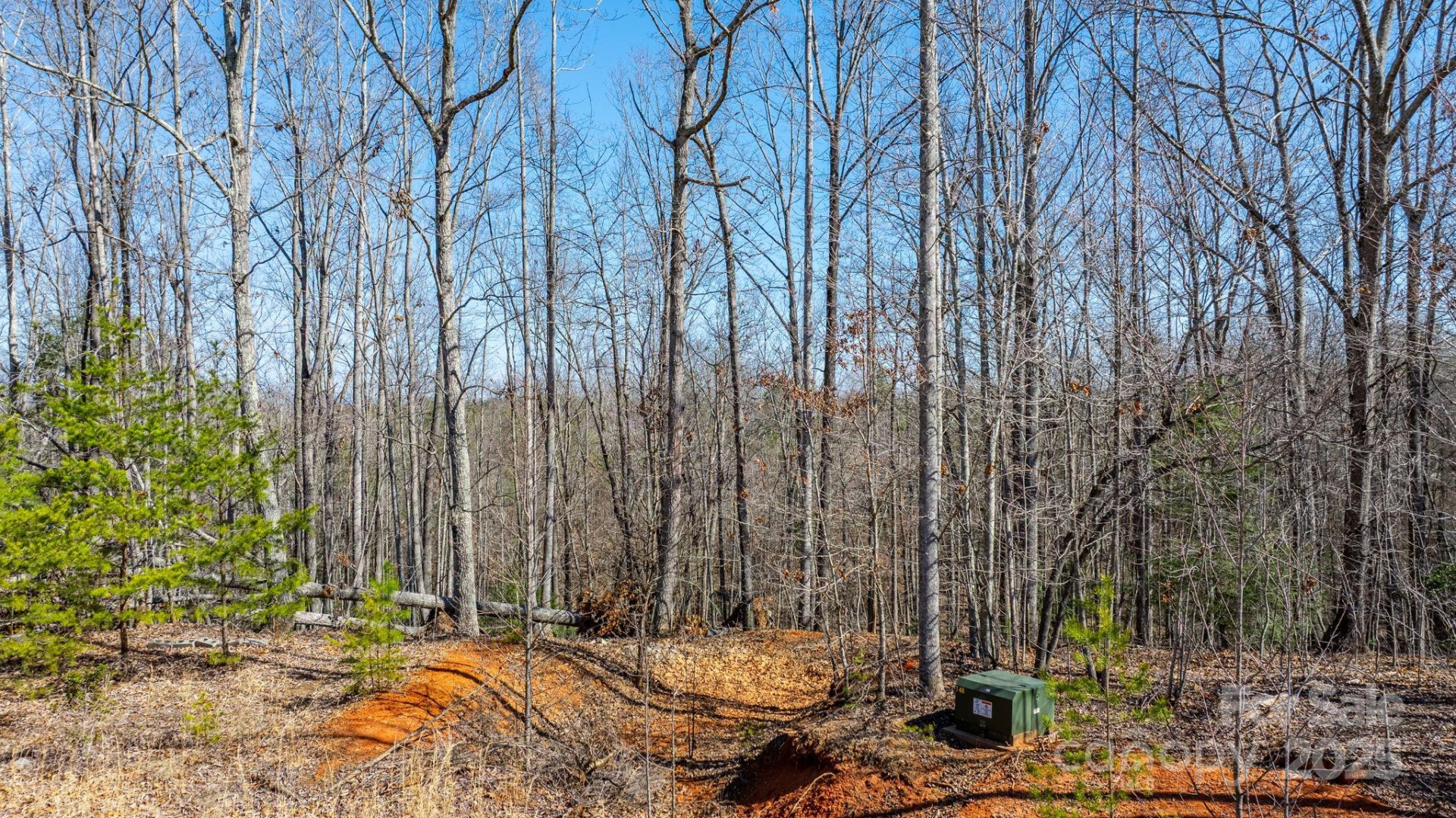 TBD Dirksen Avenue #60 - Photo 19