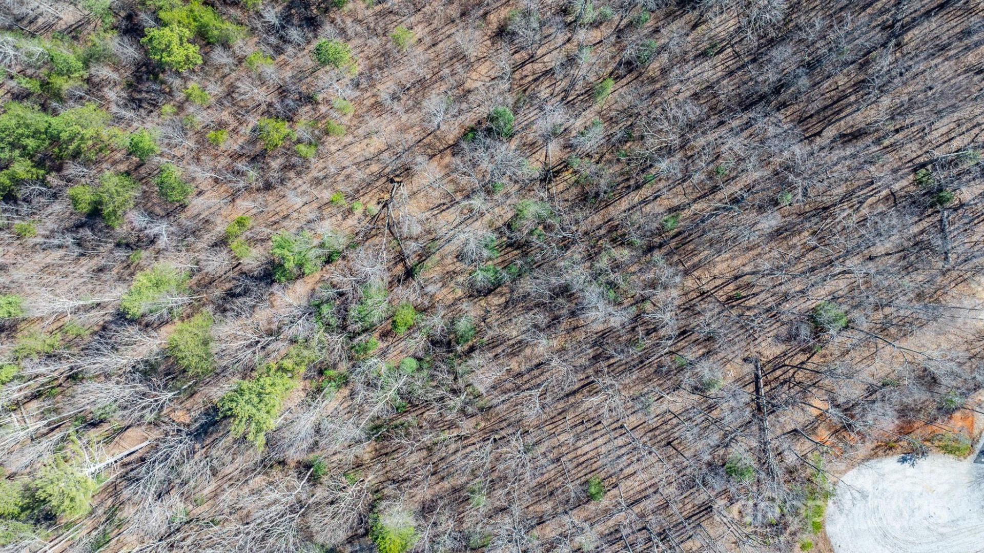 TBD Dirksen Avenue #60 - Photo 20