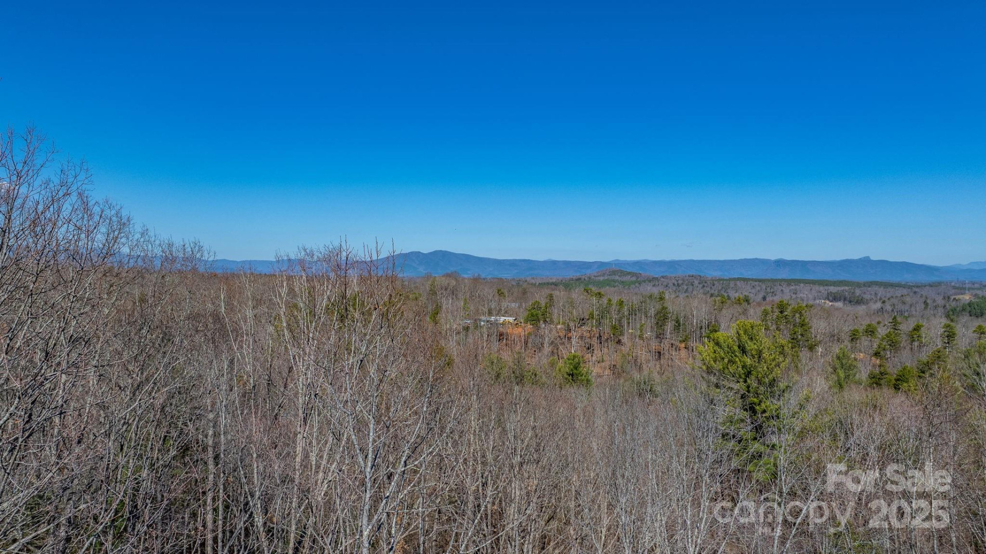 TBD Dirksen Avenue #60 - Photo 3