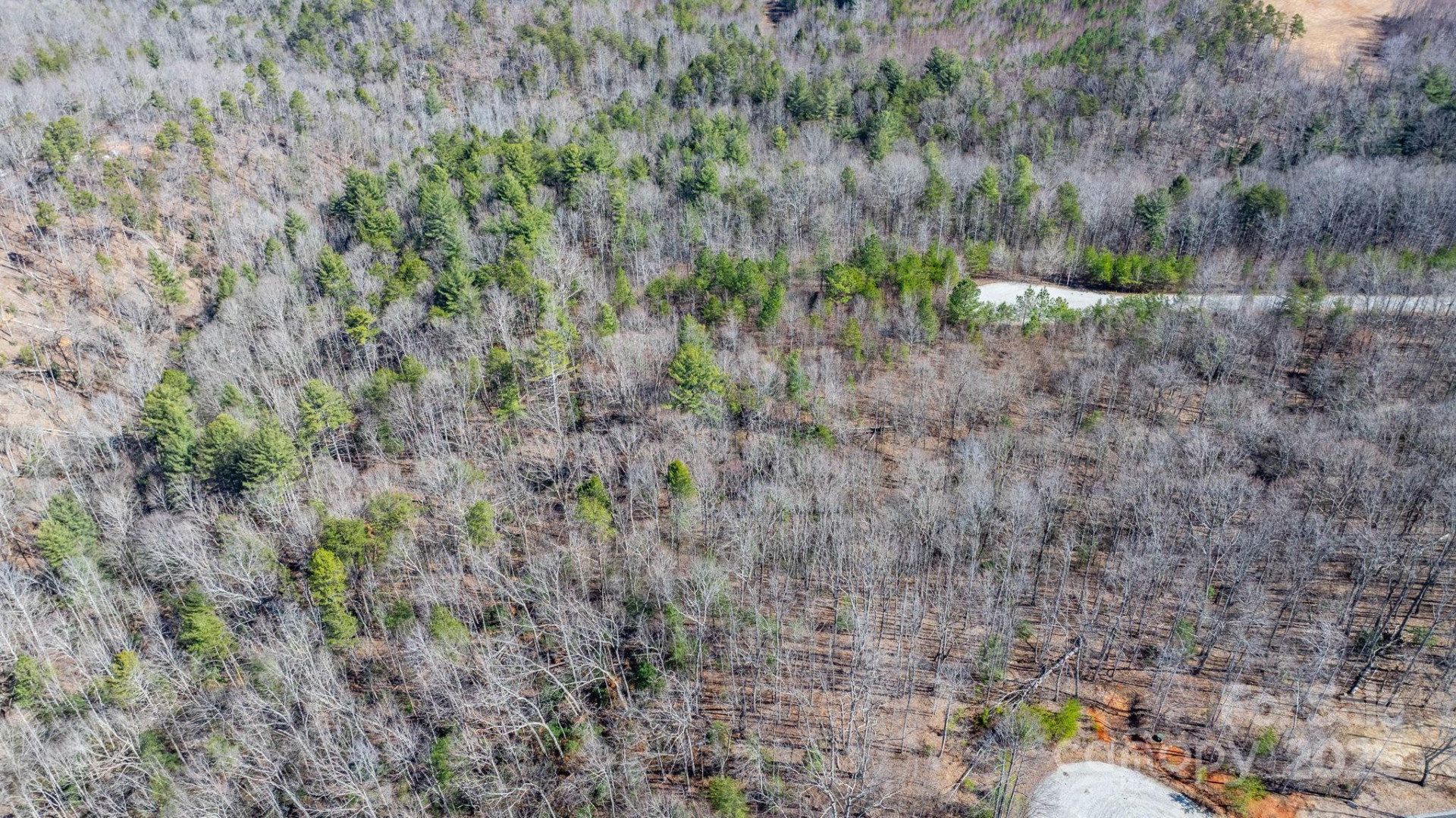 TBD Dirksen Avenue #60 - Photo 23