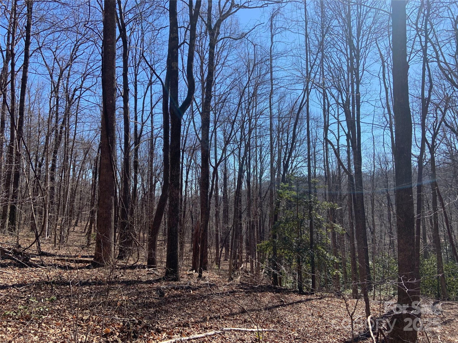 TBD Glen Ridge Trail #252 - Photo 2