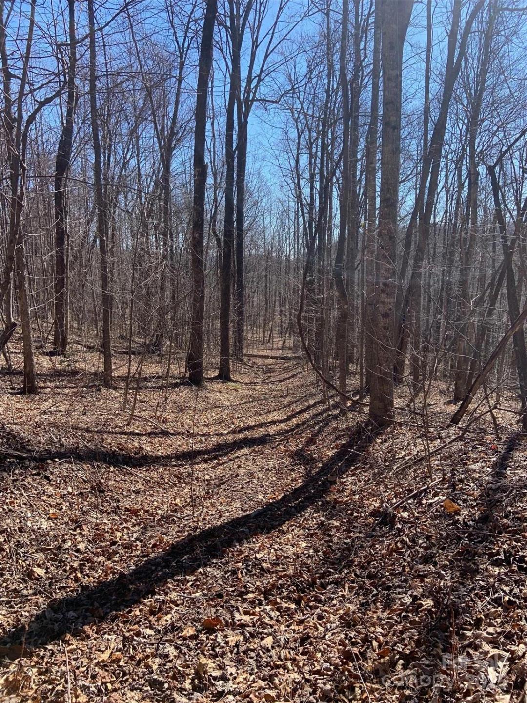 TBD Glen Ridge Trail #252 - Photo 11