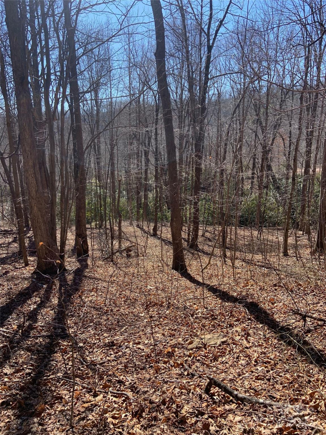 TBD Glen Ridge Trail #252 - Photo 12