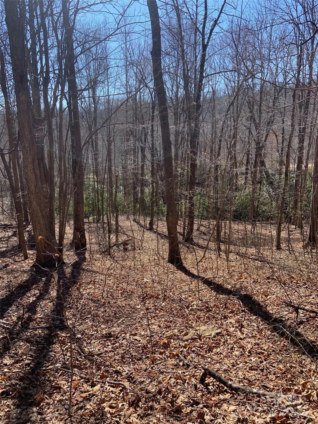 TBD Glen Ridge Trail #252 - Photo 12