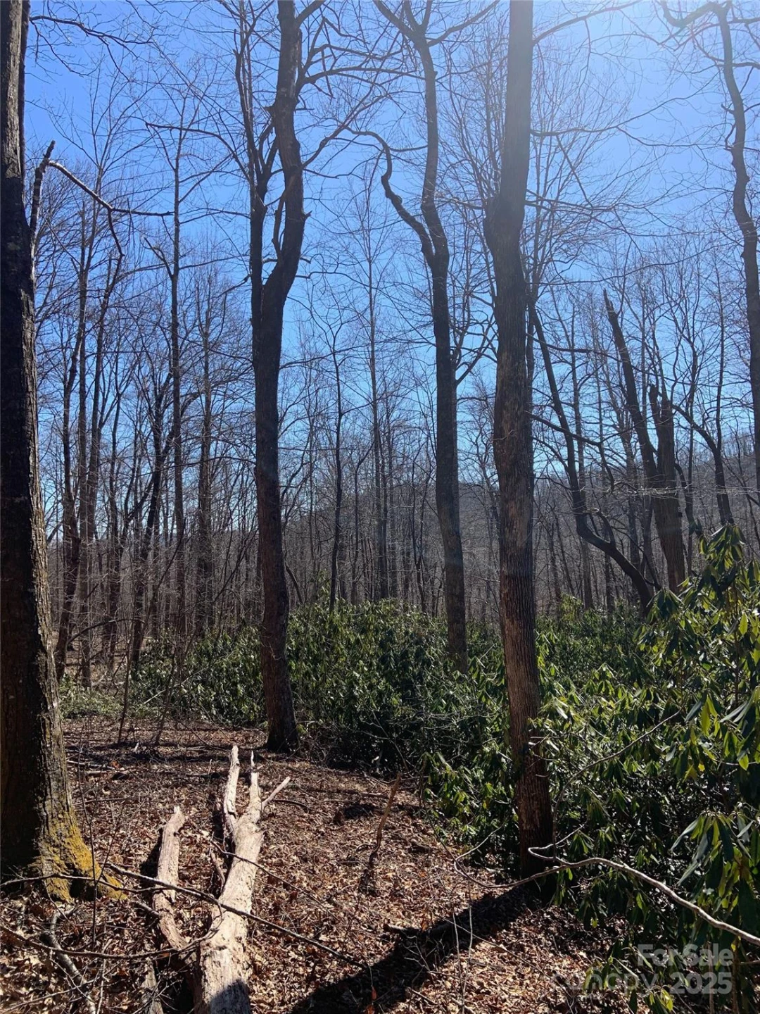 TBD Glen Ridge Trail #252 - Photo 14