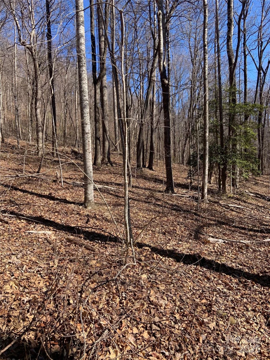 TBD Glen Ridge Trail #252 - Photo 15