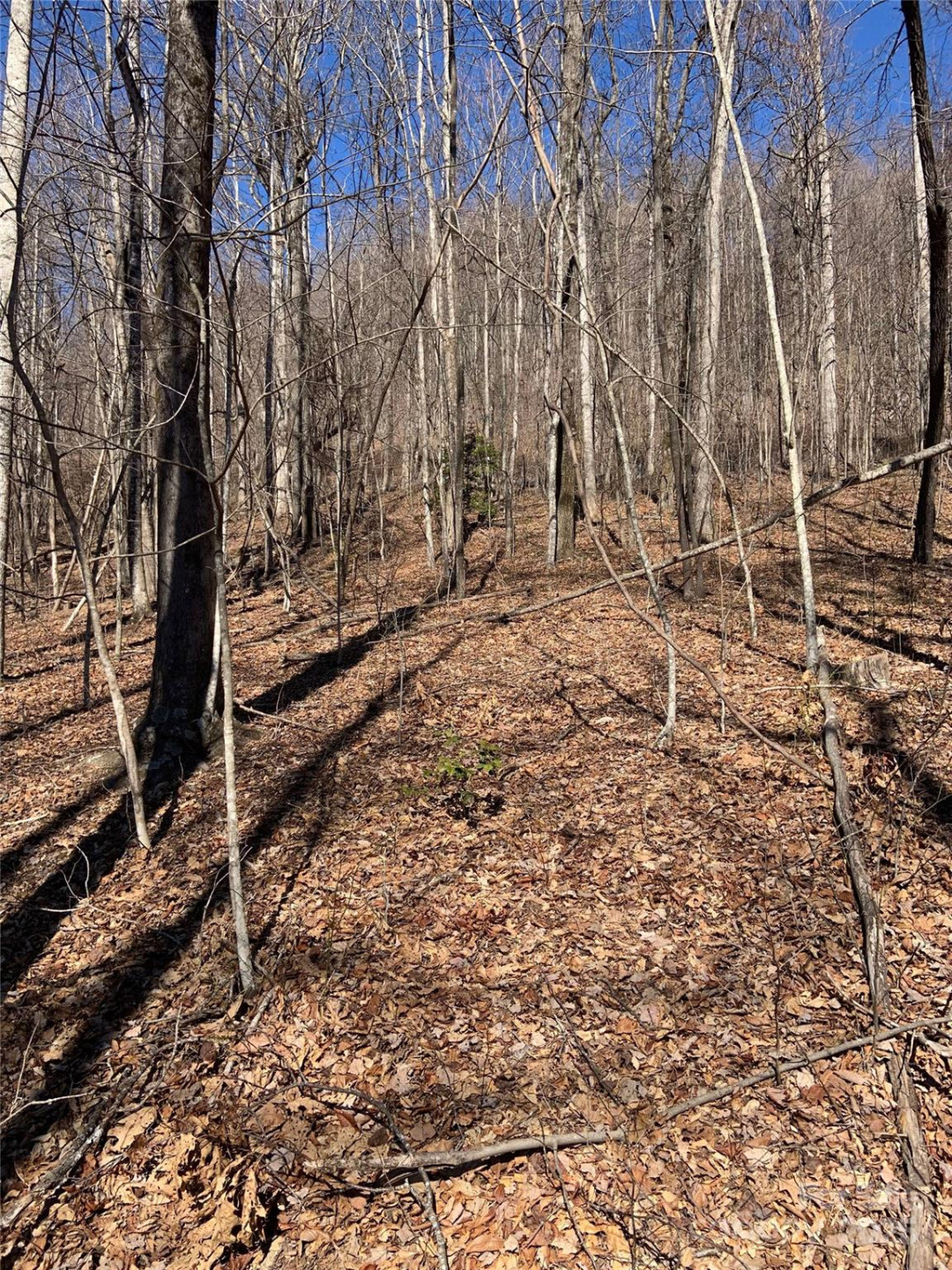 TBD Glen Ridge Trail #252 - Photo 16