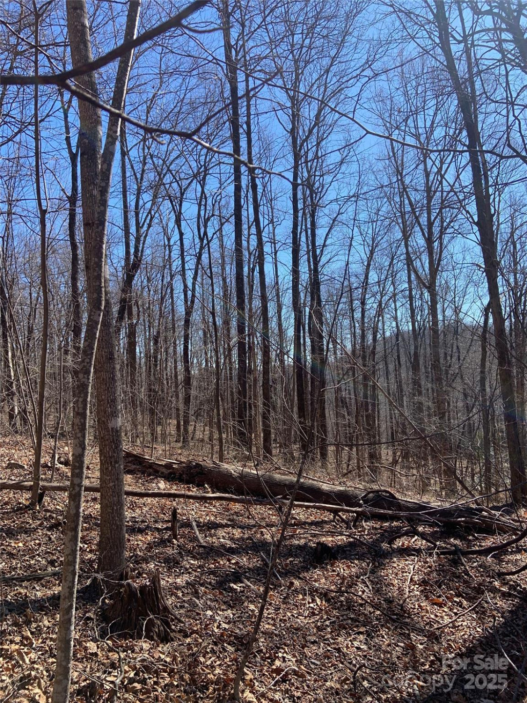 TBD Glen Ridge Trail #252 - Photo 17