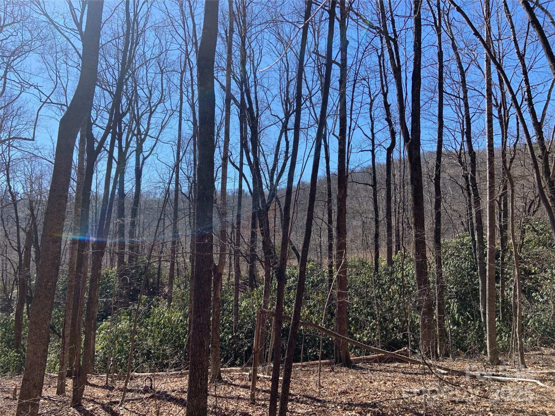 TBD Glen Ridge Trail #252 - Photo 3