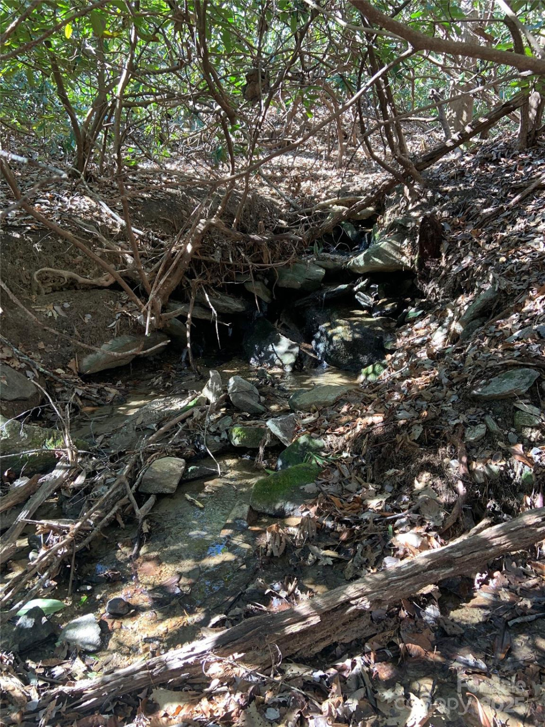 TBD Glen Ridge Trail #252 - Photo 4