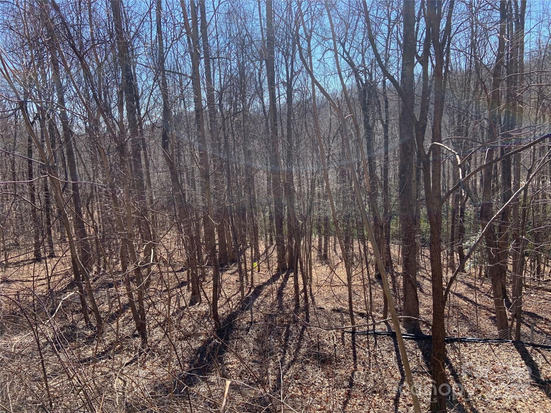 TBD Glen Ridge Trail #252 - Photo 6