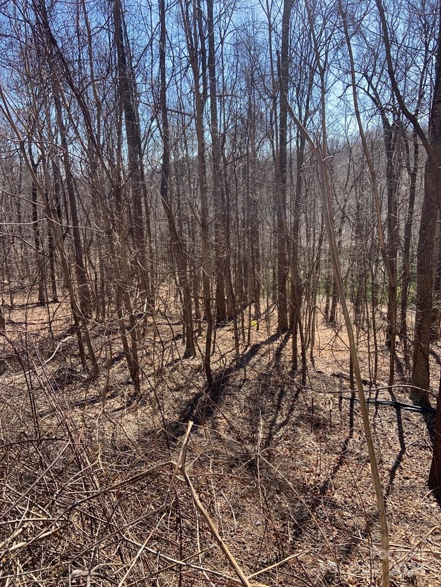 TBD Glen Ridge Trail #252 - Photo 7