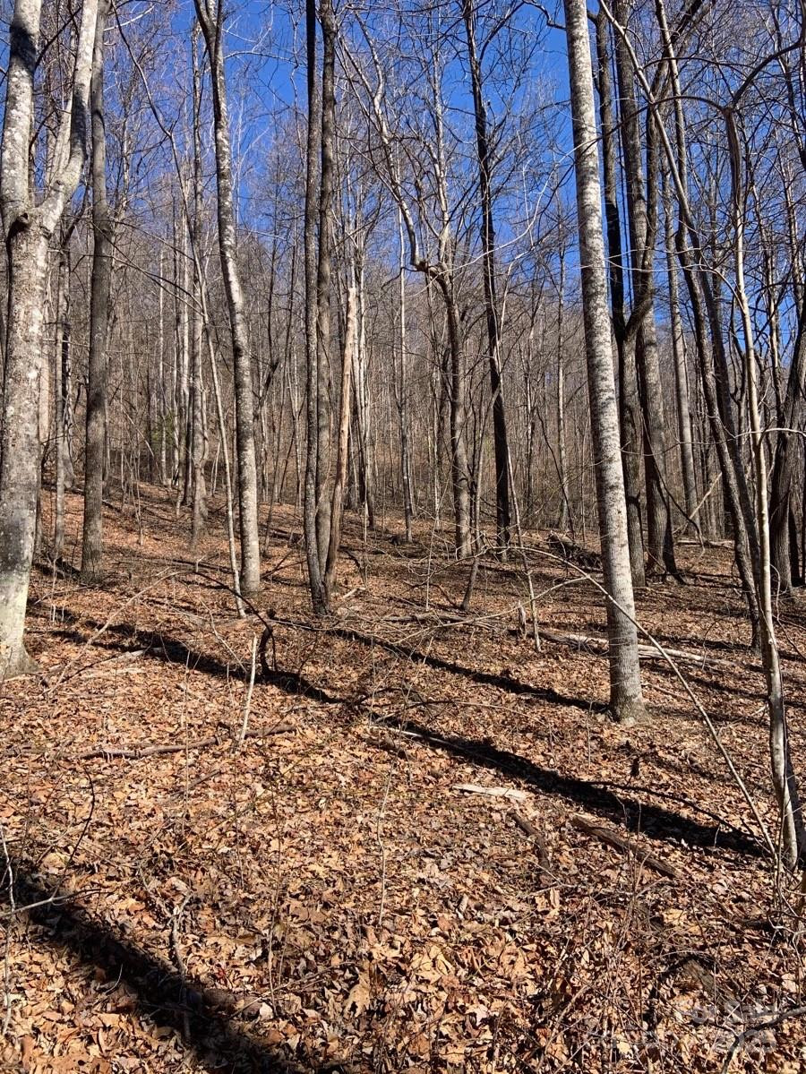 TBD Glen Ridge Trail #252 - Photo 8