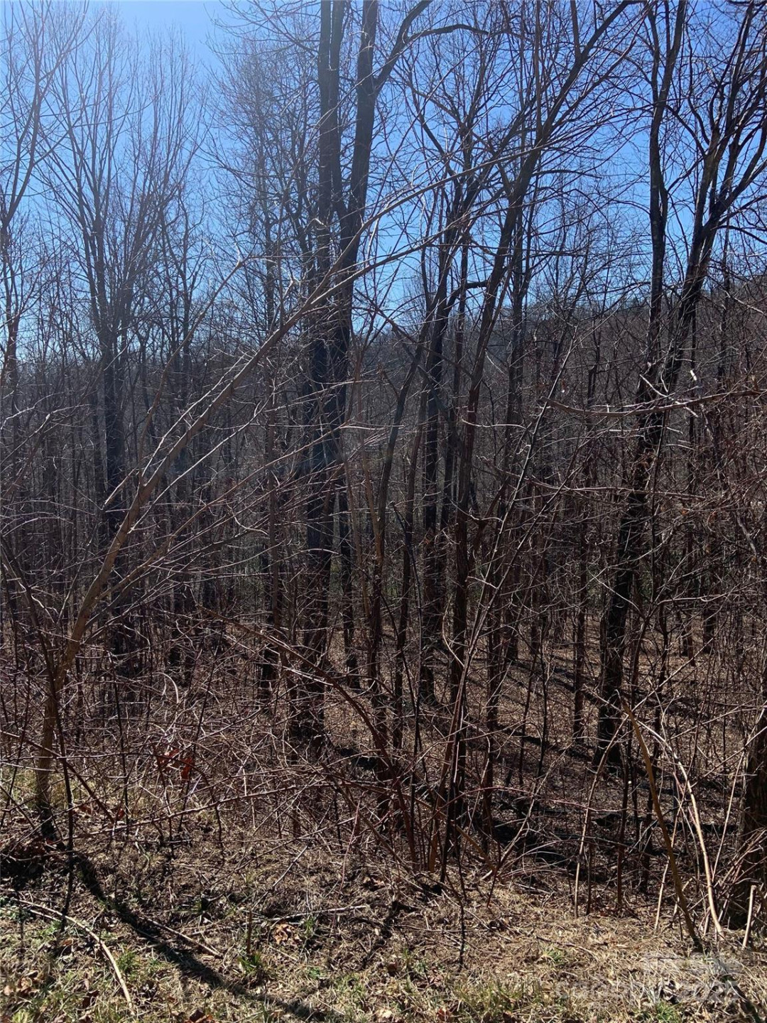 TBD Glen Ridge Trail #252 - Photo 9