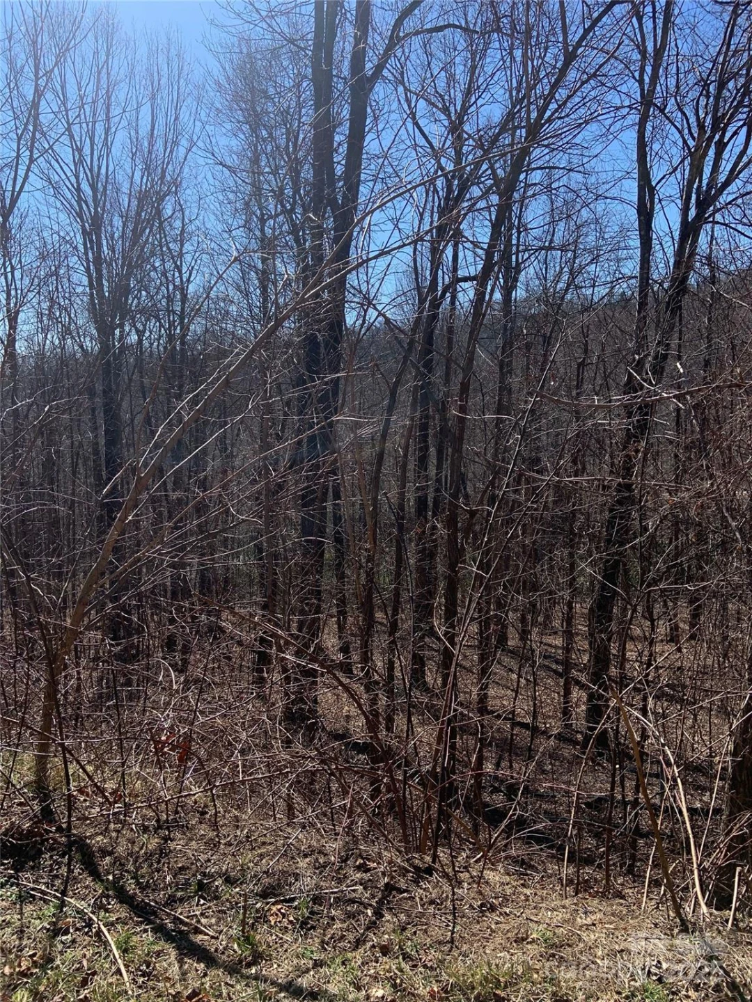 TBD Glen Ridge Trail #252 - Photo 9
