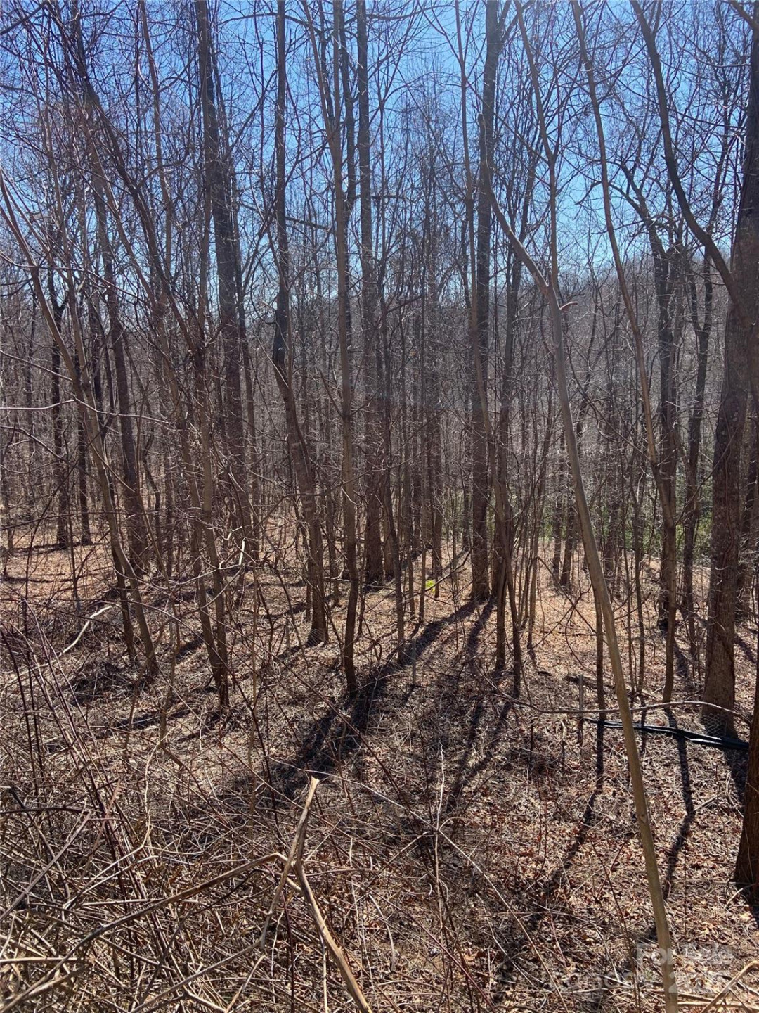 TBD Glen Ridge Trail #252 - Photo 10