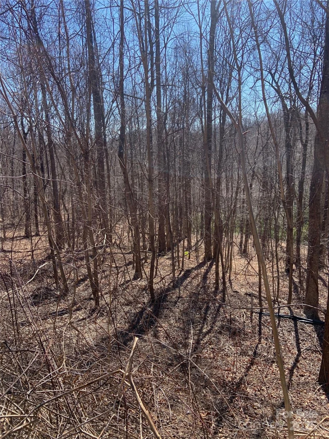 TBD Glen Ridge Trail #252 - Photo 10