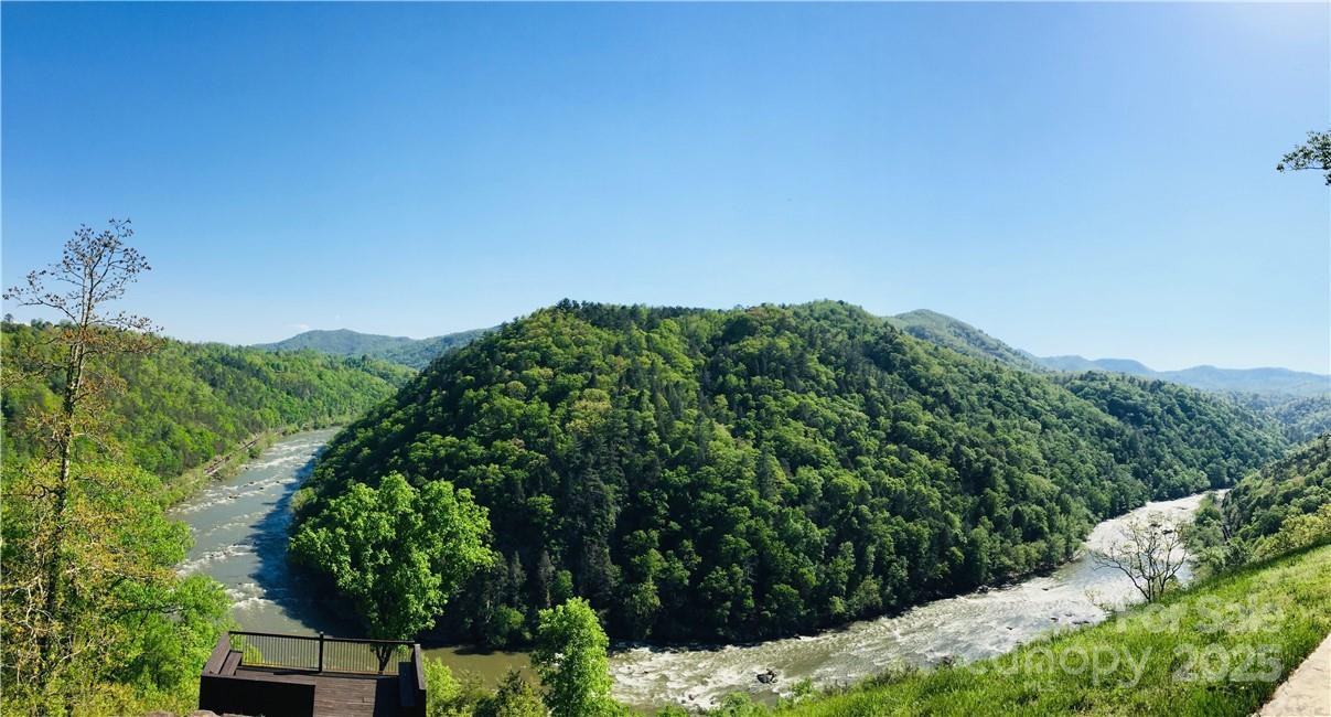 3641 French Broad Parkway #5 - Photo 12