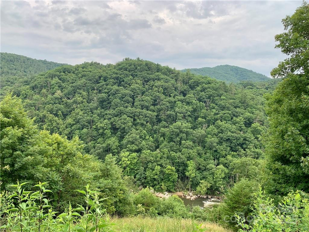 3641 French Broad Parkway #5 - Photo 30