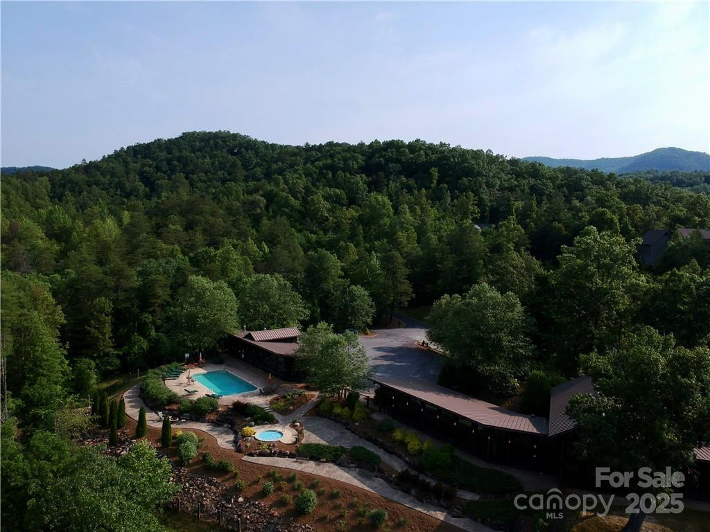 3641 French Broad Parkway #5 - Photo 8