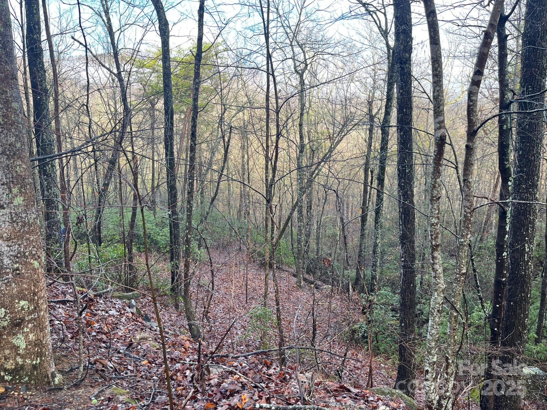 00 Ridgecrest Drive - Photo 11