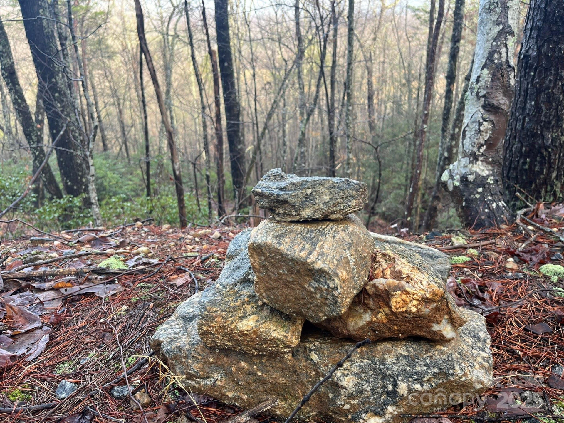 00 Ridgecrest Drive - Photo 14