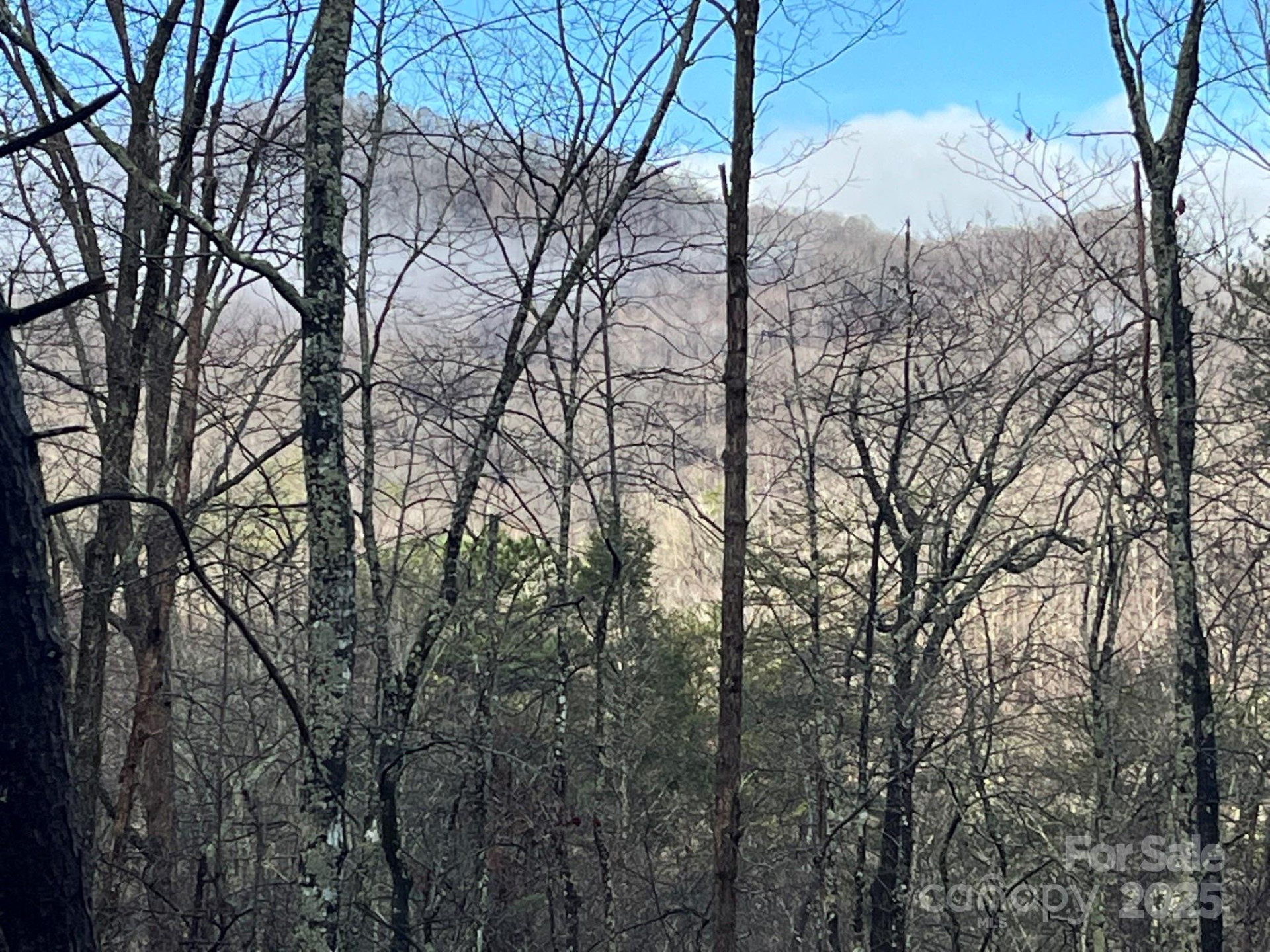 00 Ridgecrest Drive - Photo 3