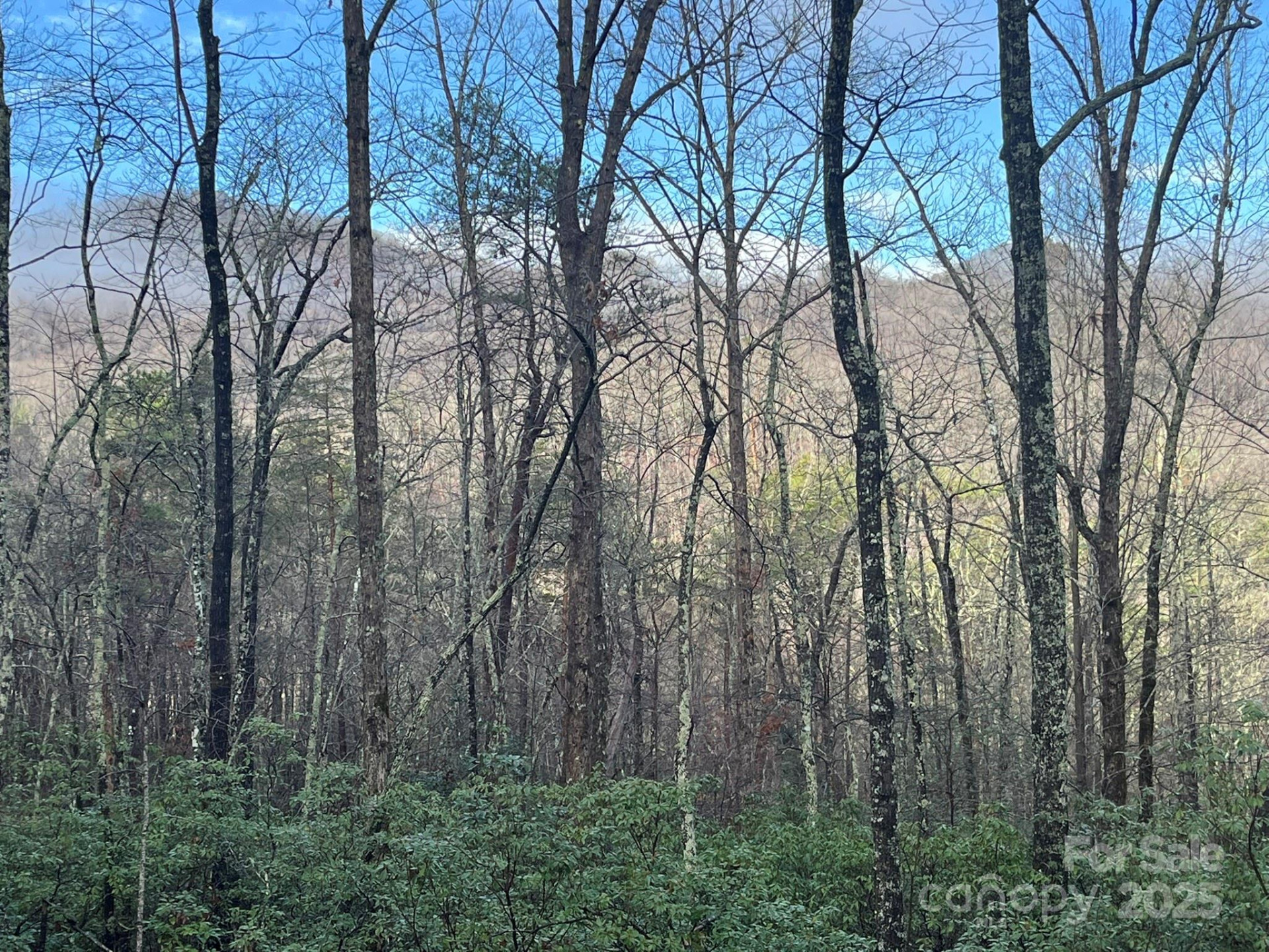 00 Ridgecrest Drive - Photo 4