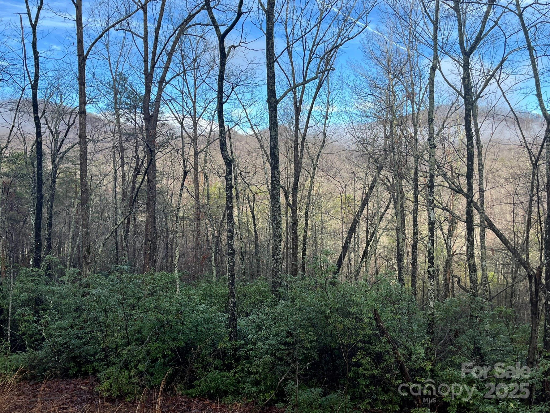 00 Ridgecrest Drive - Photo 5