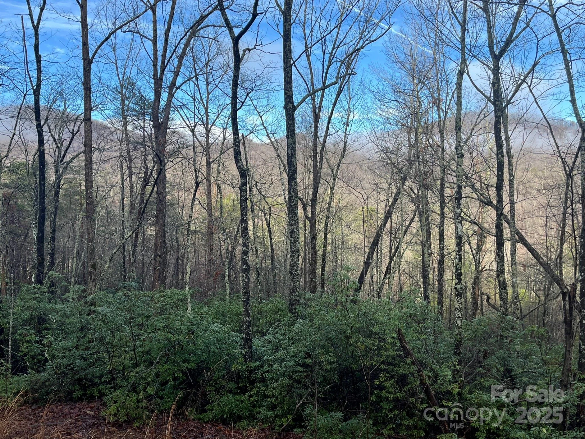 00 Ridgecrest Drive - Photo 5