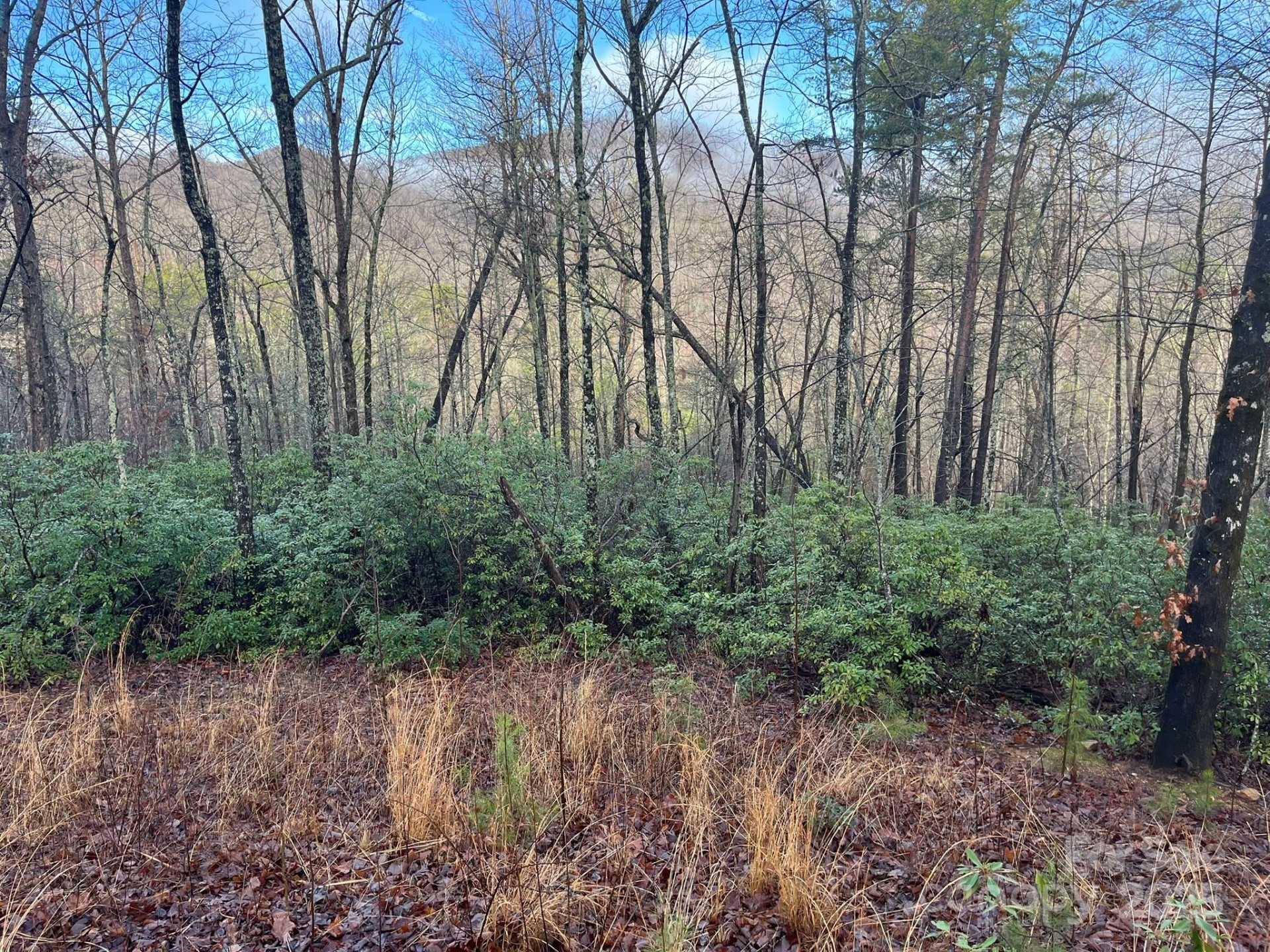 00 Ridgecrest Drive - Photo 6