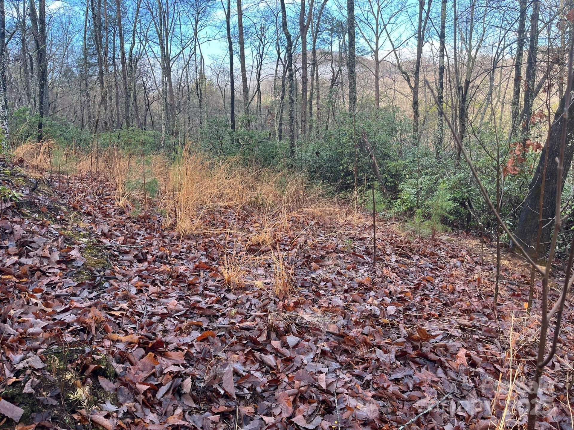 00 Ridgecrest Drive - Photo 7